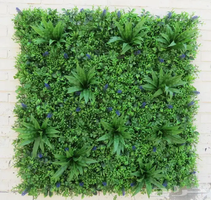 عشب صناعي جداري وأرضي. توريد وتركيب وخامات عاليه الجوده 15