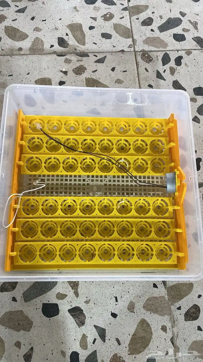 فقاصه للبيع 2