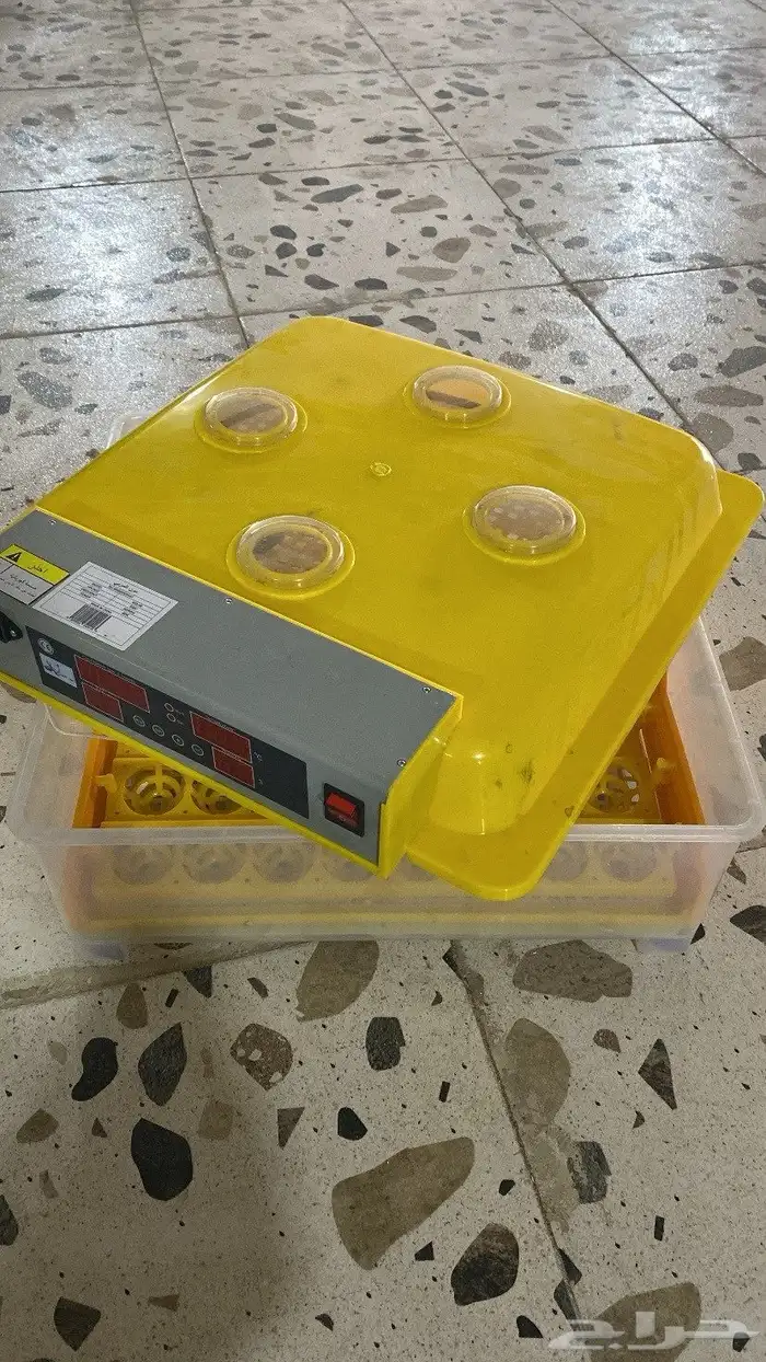 فقاصه للبيع 1