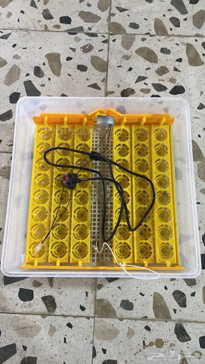 فقاصه للبيع 3