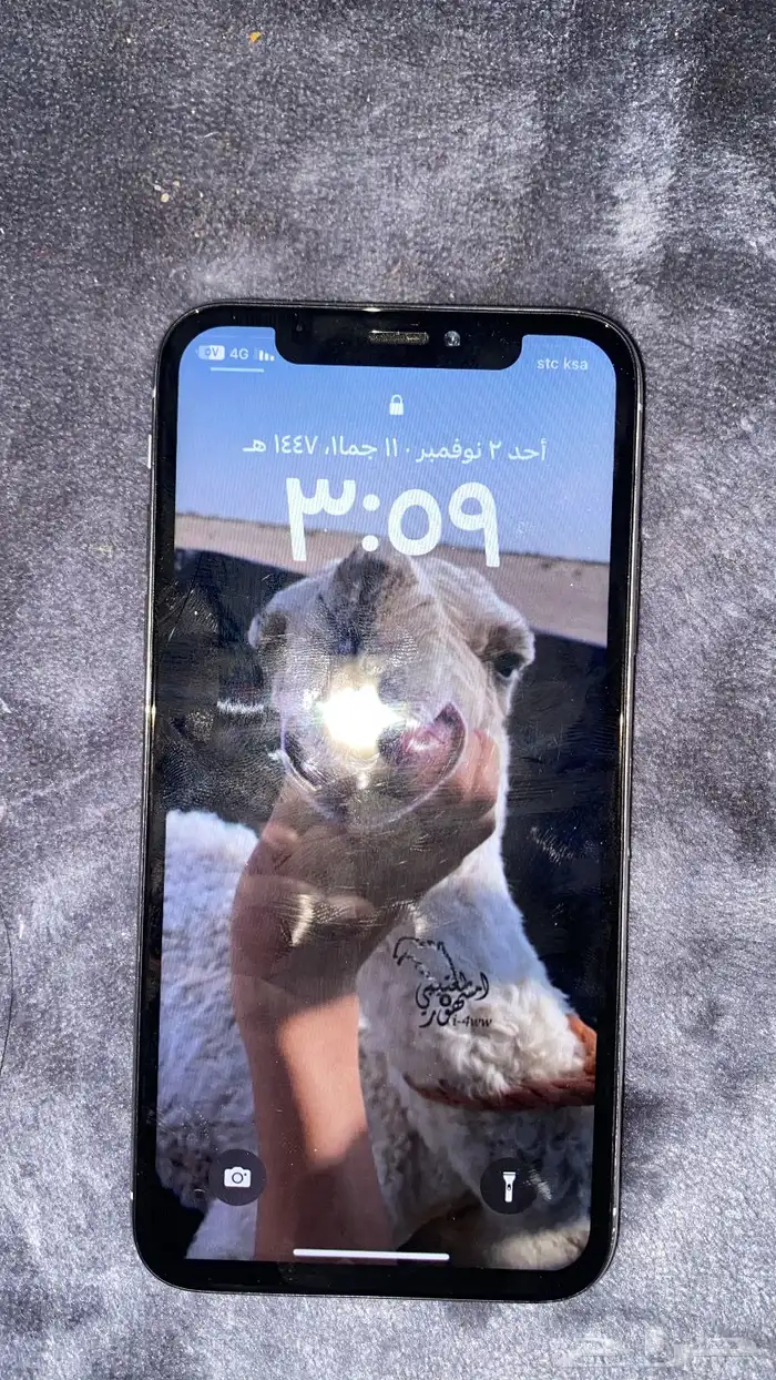 آيفون 11 وآيفون x 6