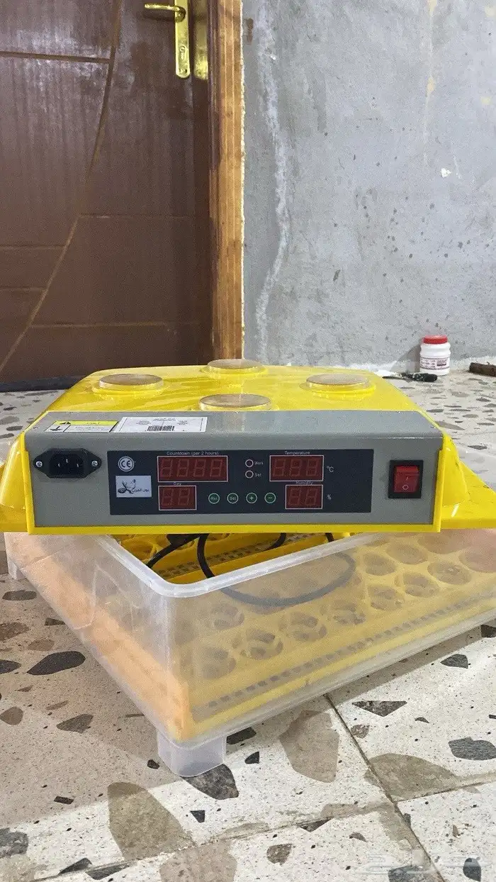 فقاصه للبيع 0