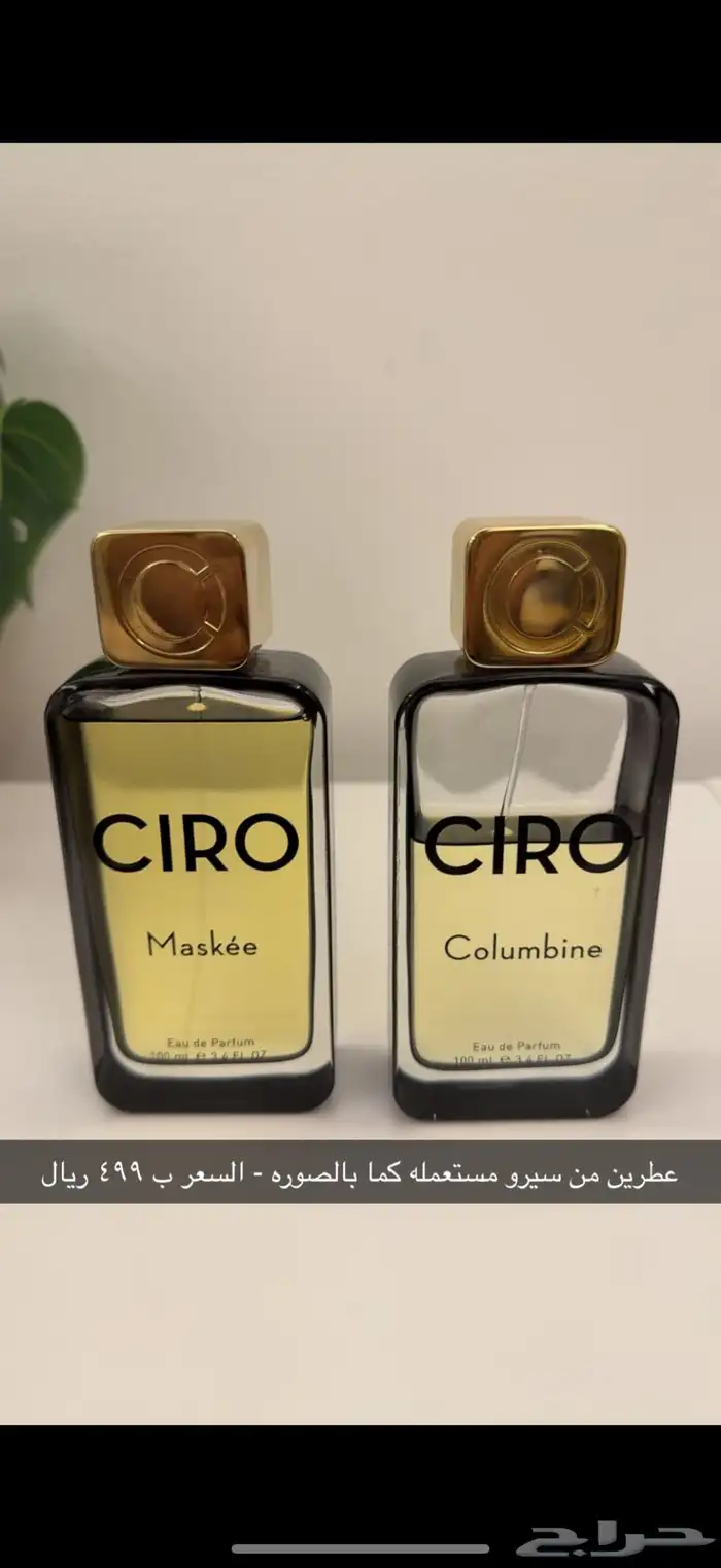 عطور نيش منوعه فرصة 6