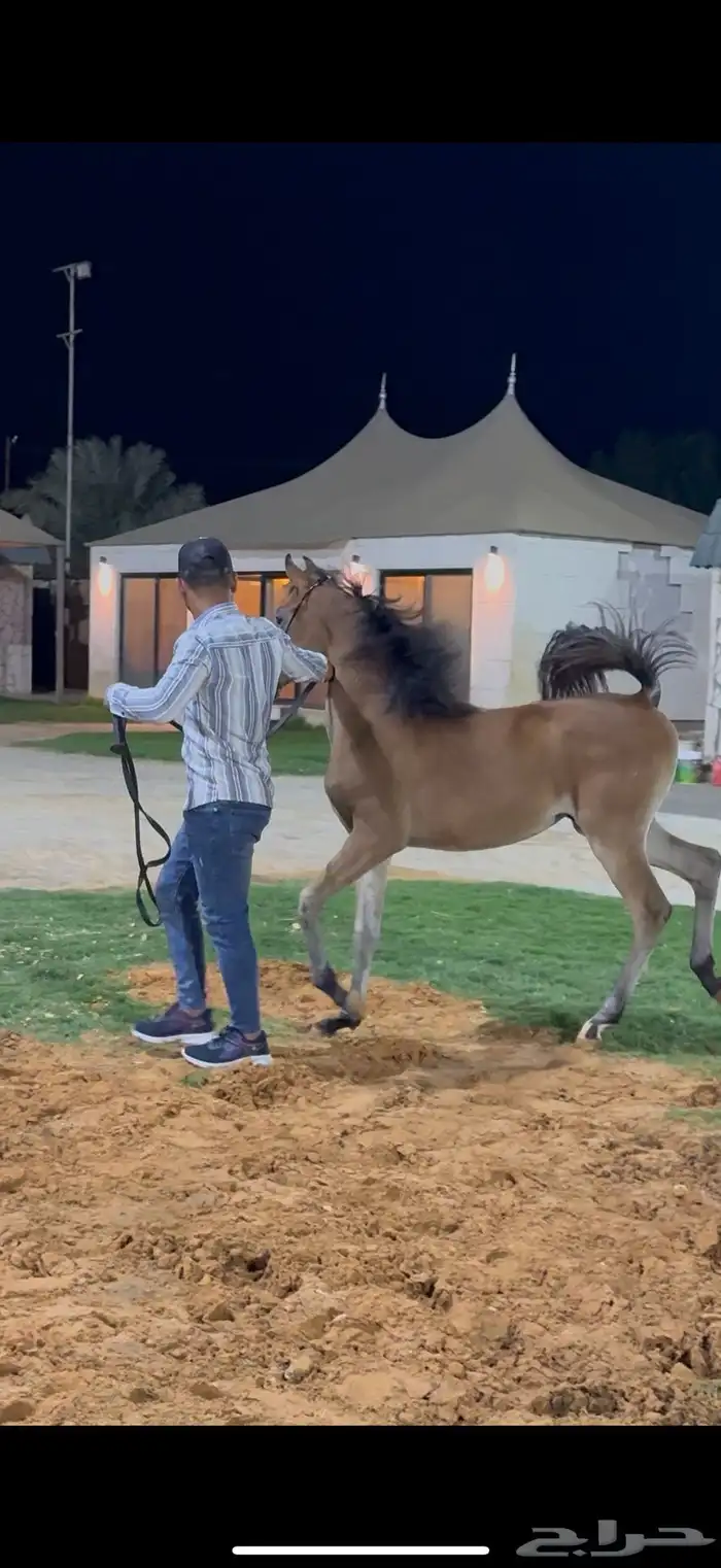 مهره واهو بنت البطل راج المكتوب 1