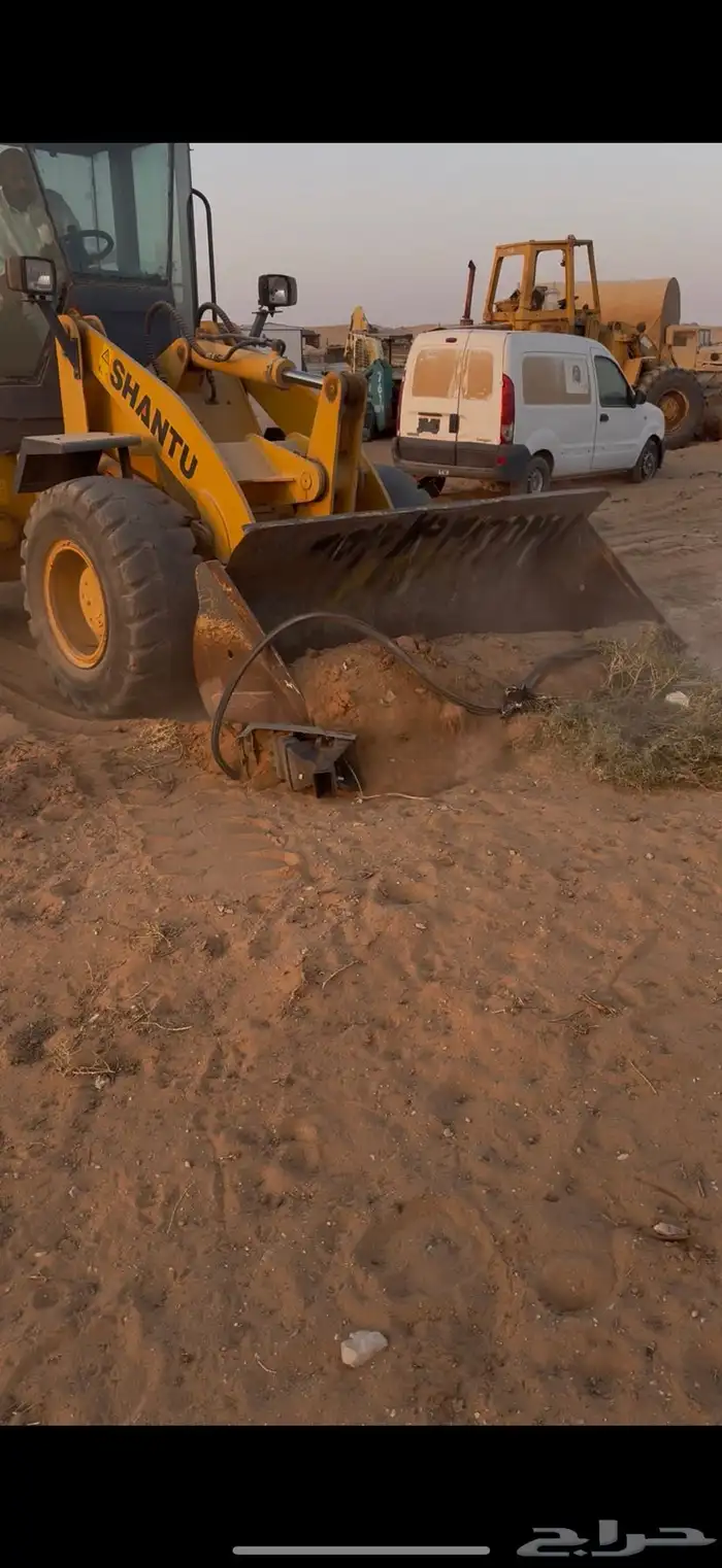 شيول صيني 10