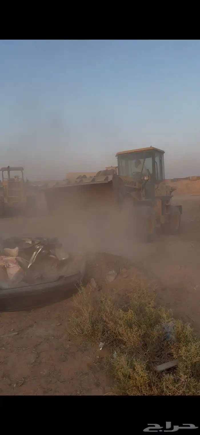 شيول صيني 13