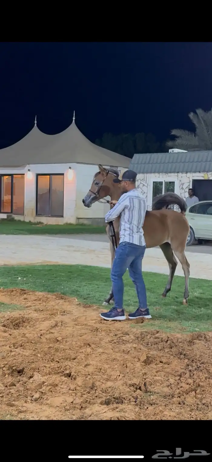 مهره واهو بنت البطل راج المكتوب 0