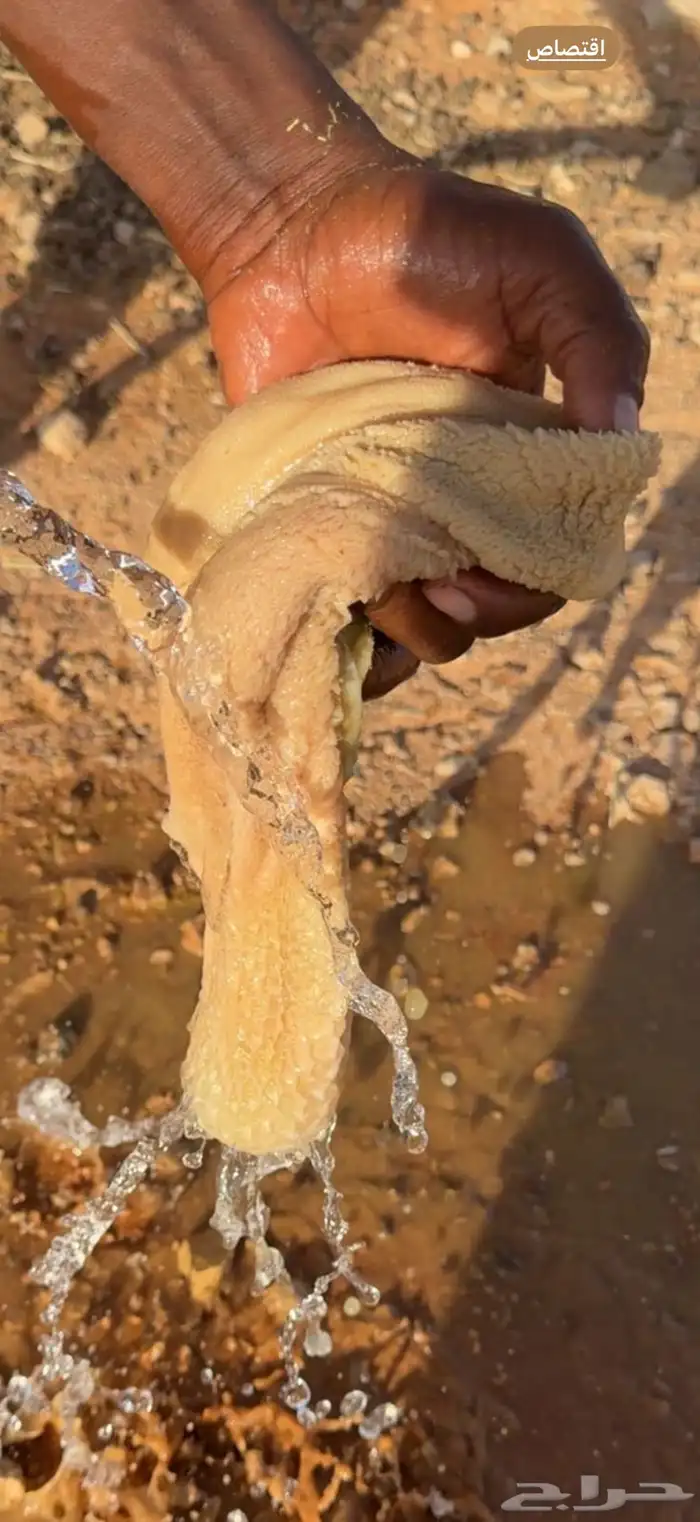 ذبائح برية 4