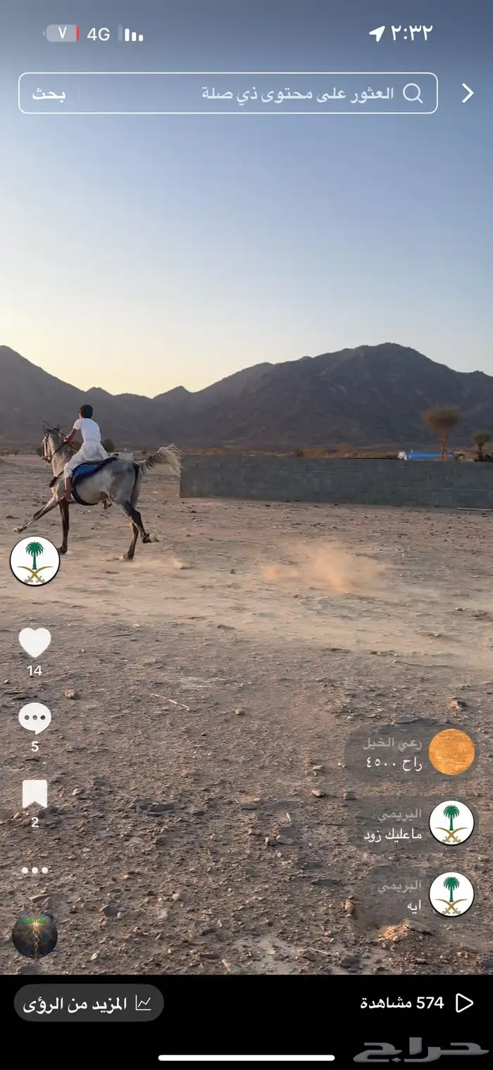 حصان شعبي الاسم لهب العمر خمس سنين 0