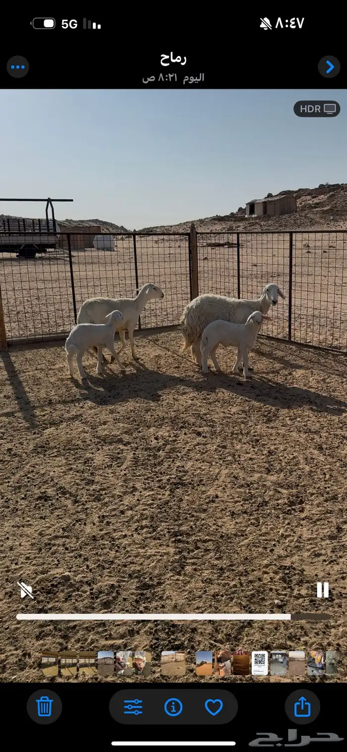 متابيع حريات طيبات العدد 2 1