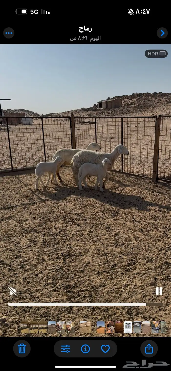 متابيع حريات طيبات العدد 2 0