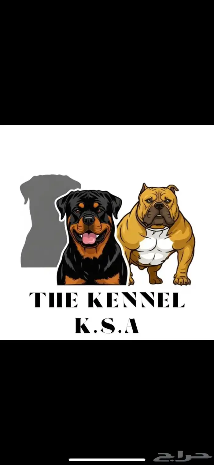 كلاب تدريب 1