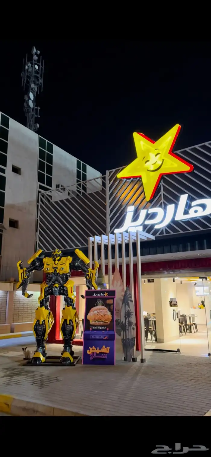 مجسمات واضاءت وعاب ترفيهية 4