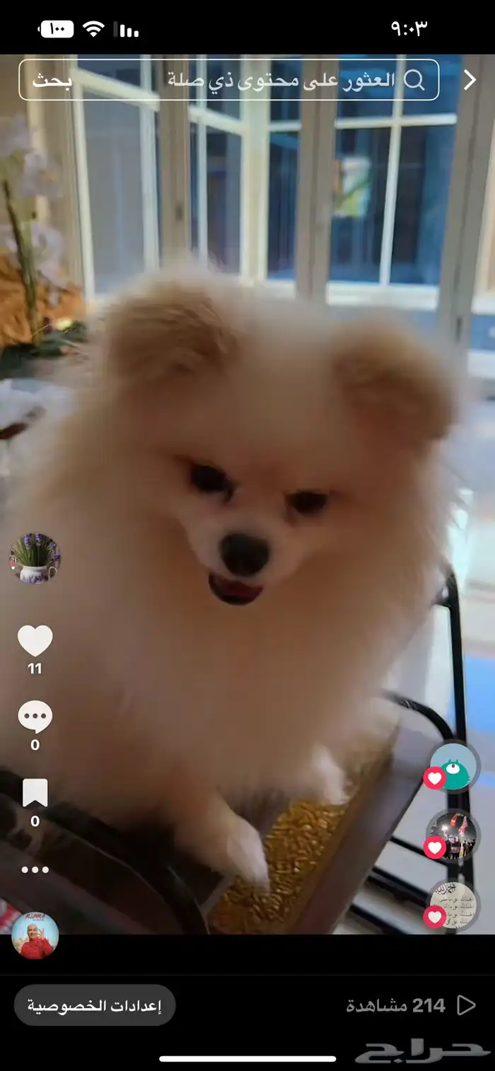 المنطقة الشرقيه 3