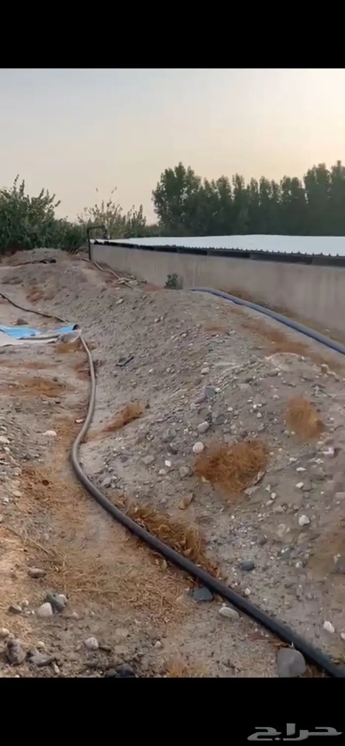 ارض زراعية للبيع 2