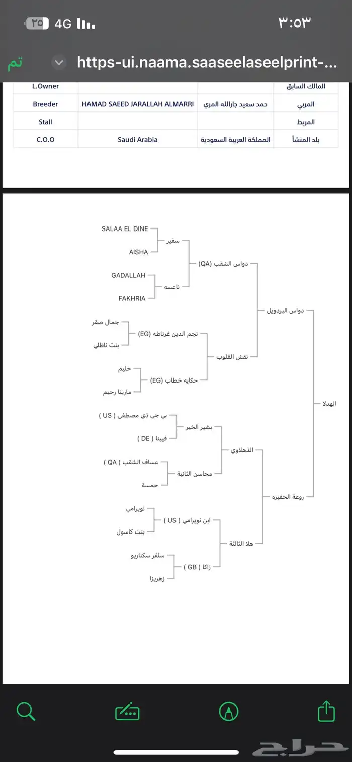 فرس السوم في العام مزواده 4