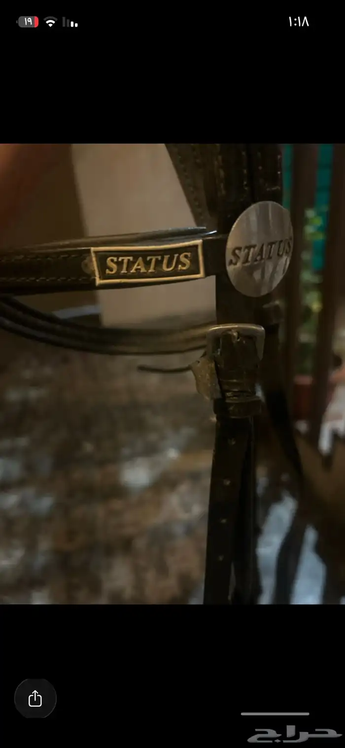 لجام كفو للبيع 1