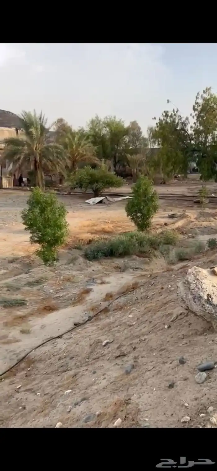 ارض زراعية للبيع 1