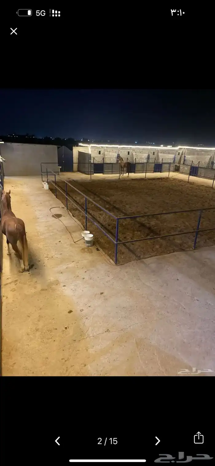 ايواء خيل في ذهبان 0