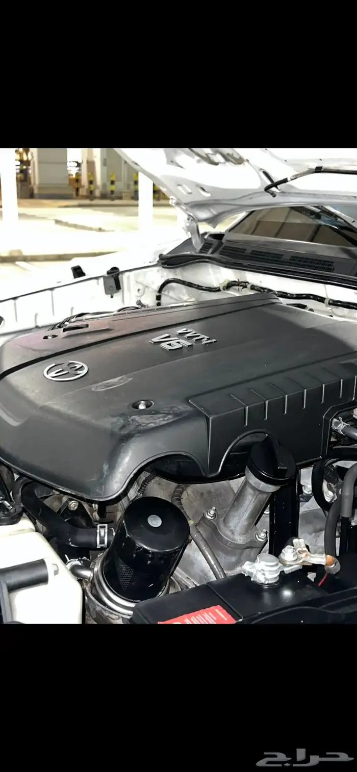 فورشتنر 2011 دبل 6 سرندل 6