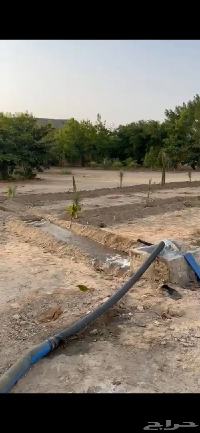 ارض زراعية للبيع 5