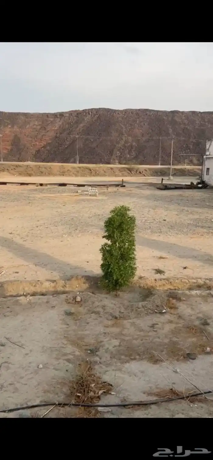 ارض زراعية للبيع 0