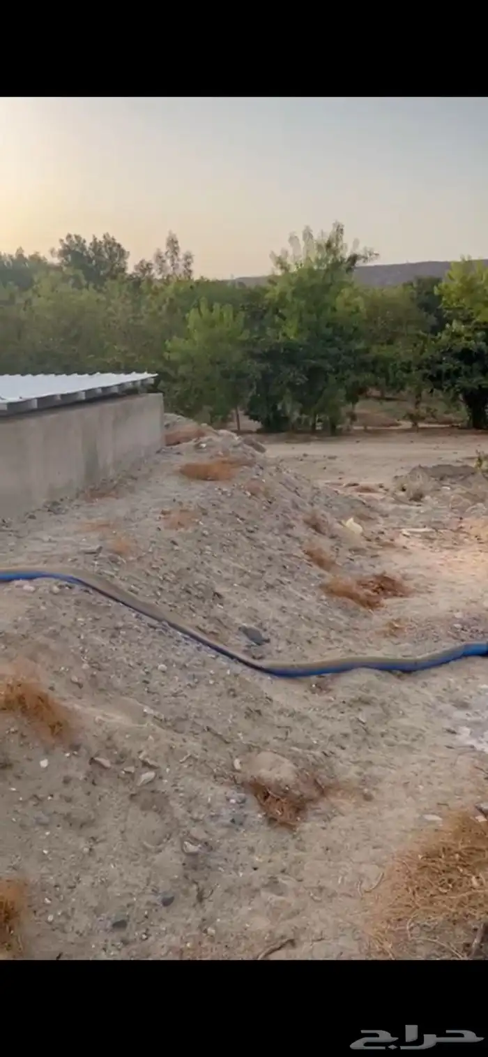 ارض زراعية للبيع 3