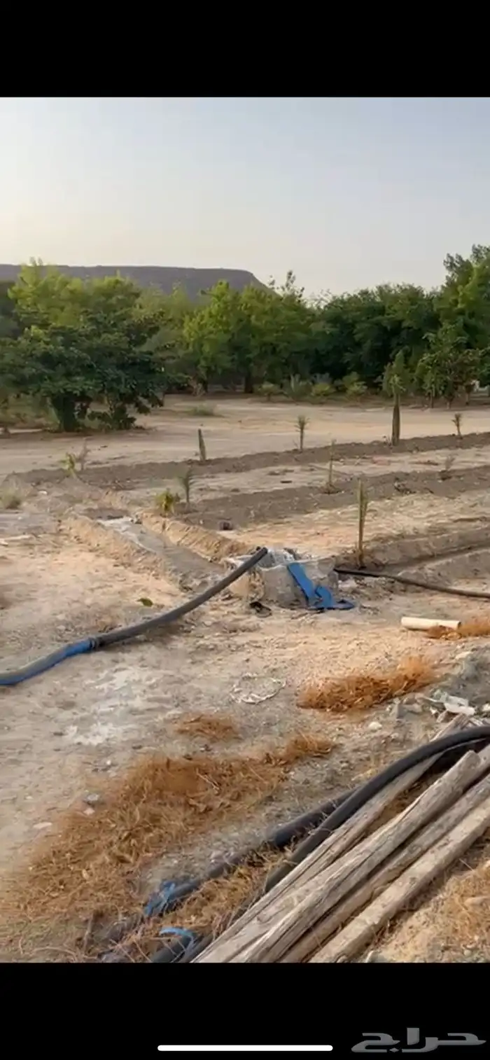 ارض زراعية للبيع 4