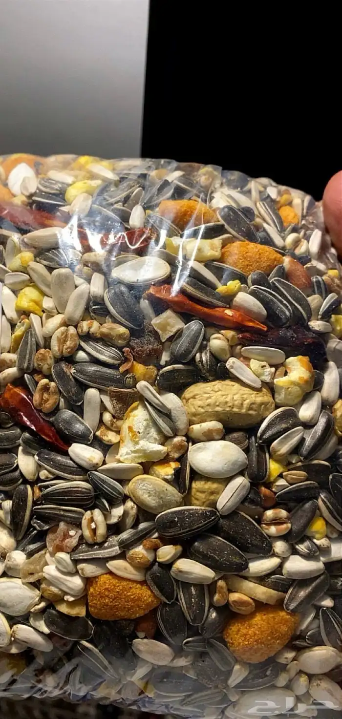 أكل طيور شركة وايت مولين الهولنديه تاريخ جديد للببغاوات 0