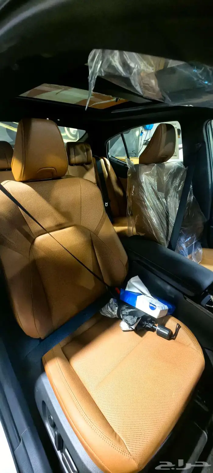 الوجه منطقة تبوك 9