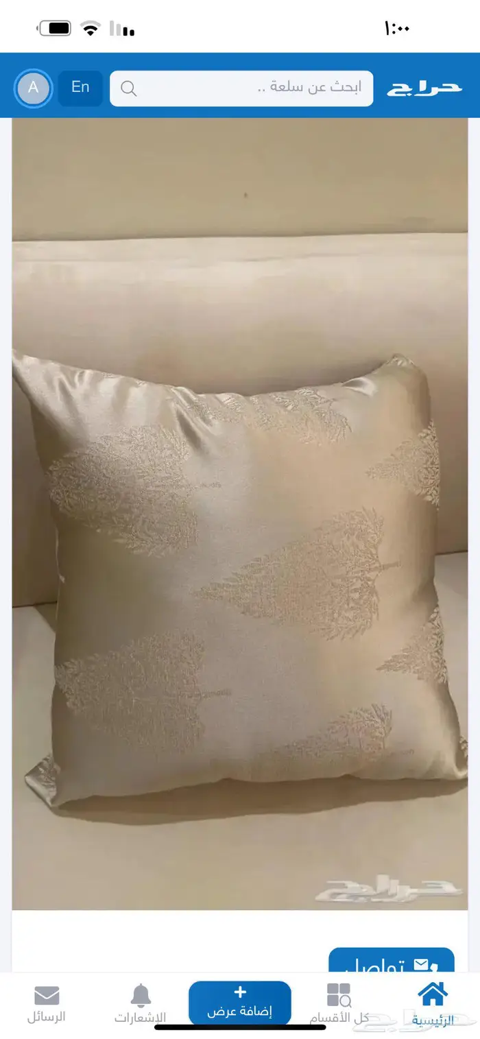 مخدات كنب ولوحة جداريه 0