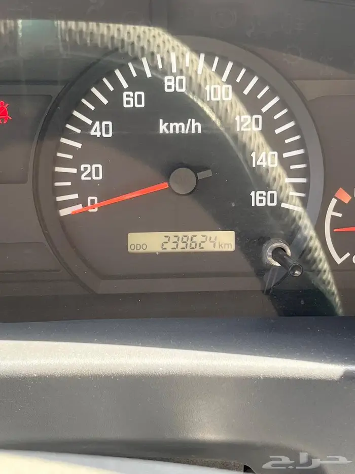 دينا ايسيزو 2022 2