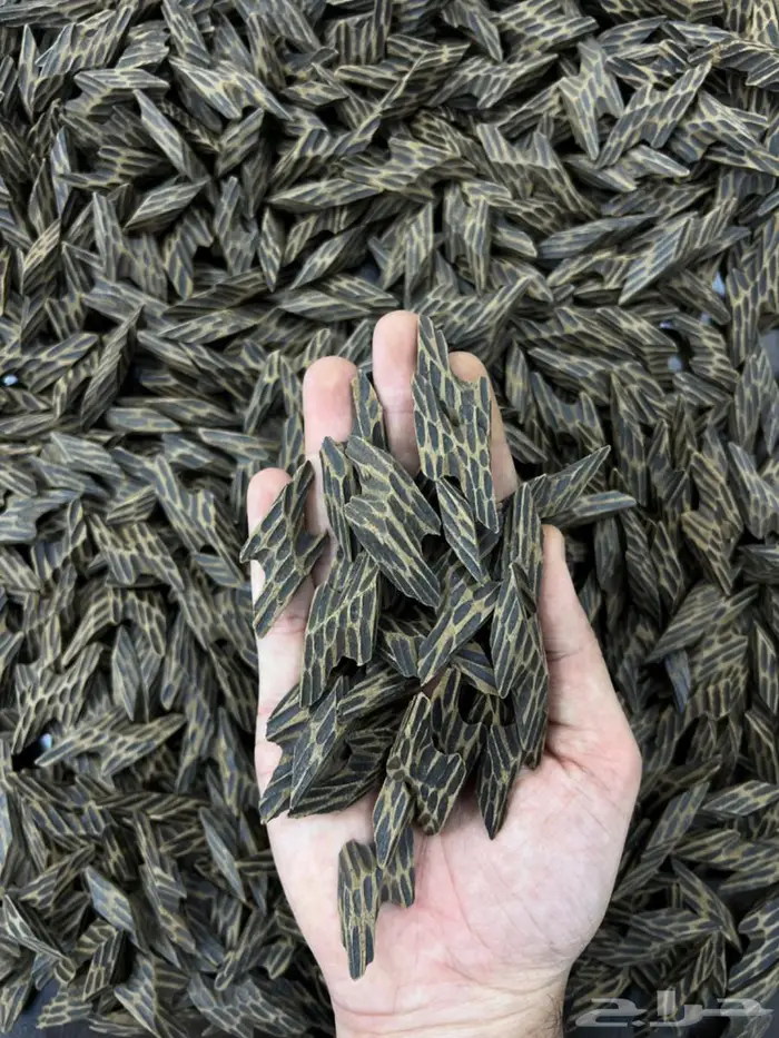 عود تايقر فيتنامي فاخر 0