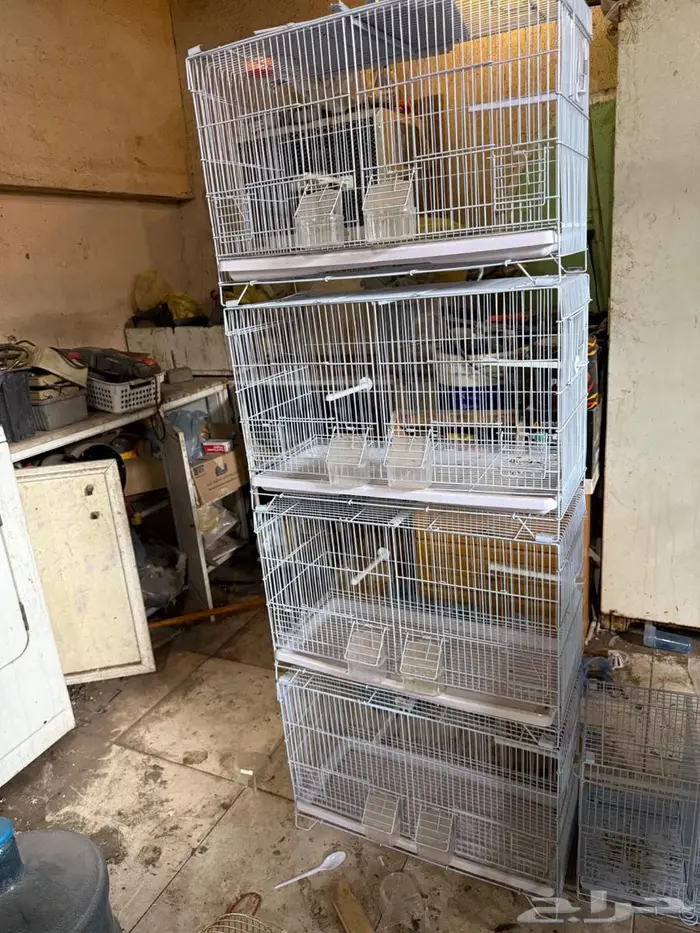 اقفاص كناري للانتاج 0