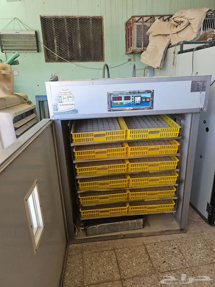 فقاسه صينيه مستعمله 0