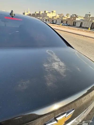 امبالا 2018 index