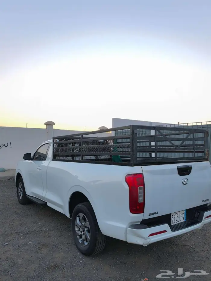 جريت وول (بور) 2022 3