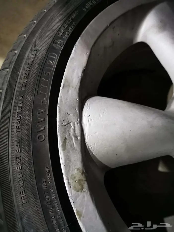 جنوط موستنق 2009 4