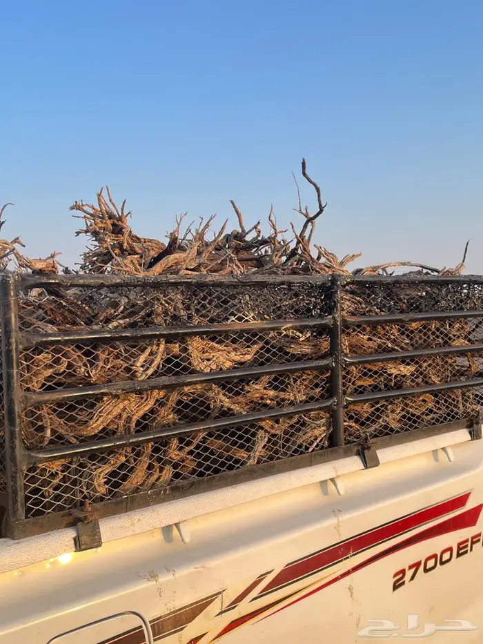 ر م ث رمث مستورد 3