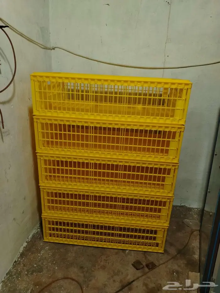 إيجار اقفاص لنقل الدواجن 0