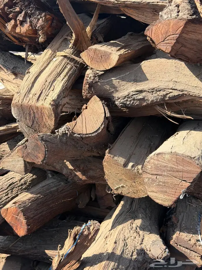 حطب افريقي 5 كيلو جملة 0