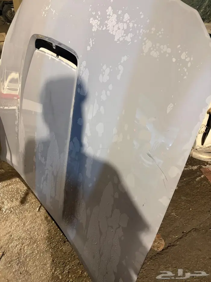 كبوت موستينغ 1