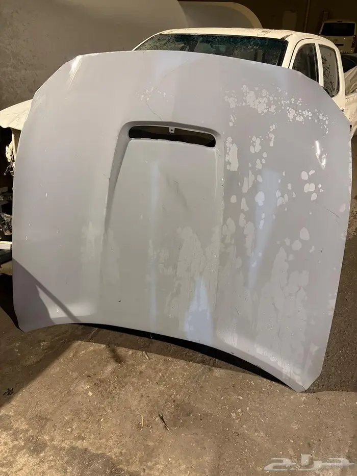 كبوت موستينغ 0