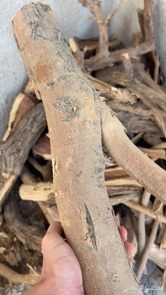 ارطسمر للبيع 1