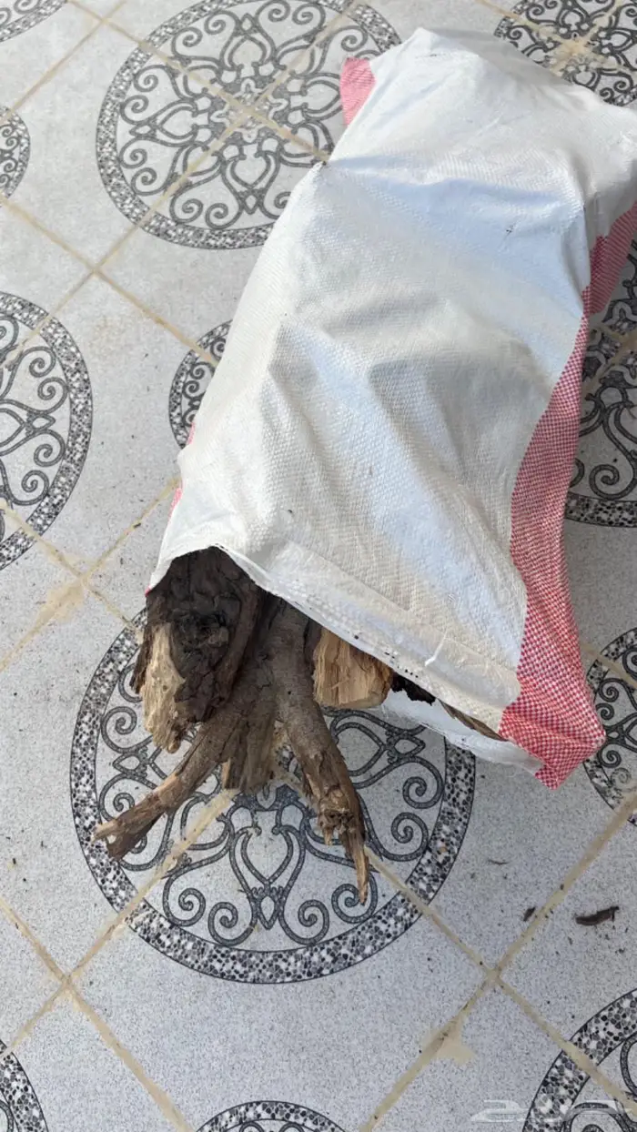 ارطسمر للبيع 2