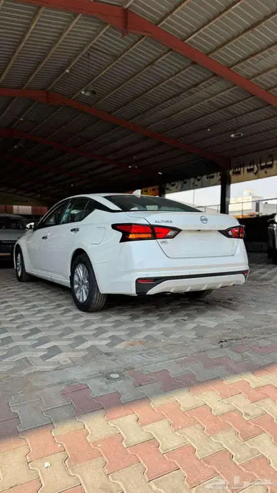 التيما 2025 s index