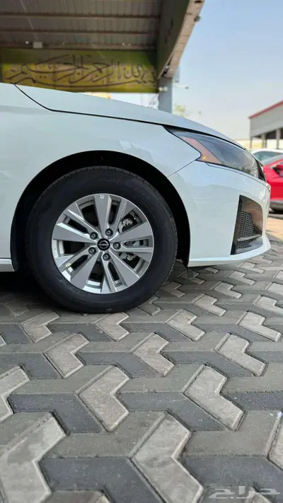 التيما 2025 s index