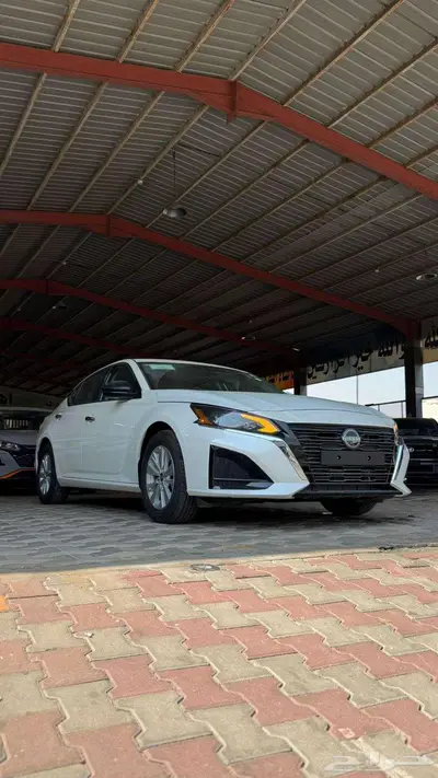 التيما 2025 s index