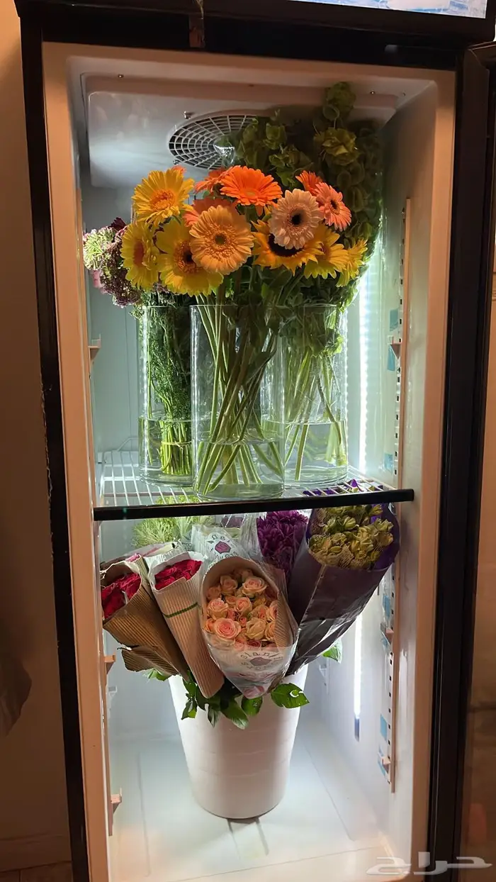 ثلاجة تبريد 3