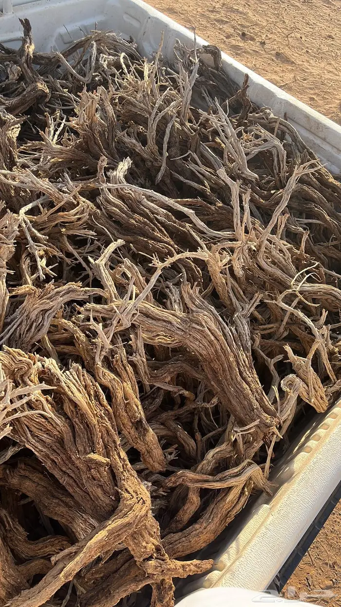 ر م ث رمث مستورد 9